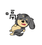 HAPPY LOVELY DACHSHUND（個別スタンプ：26）