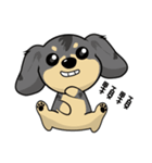 HAPPY LOVELY DACHSHUND（個別スタンプ：34）