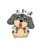 HAPPY LOVELY DACHSHUND（個別スタンプ：35）