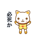 ねこのハク06★踊ってるよ♪（個別スタンプ：11）