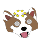 Kainui The Cute Dog（個別スタンプ：12）