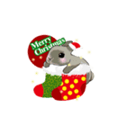 Royal College of Rabbit X'mas＆NewYear（個別スタンプ：4）