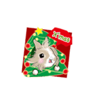 Royal College of Rabbit X'mas＆NewYear（個別スタンプ：8）