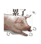 Pig daily life（個別スタンプ：8）