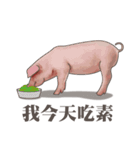 Pig daily life（個別スタンプ：25）