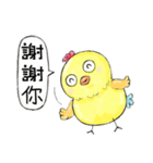 Good Chick Bring Good Luck（個別スタンプ：16）