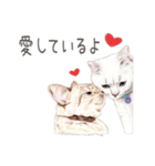 Nala and White Coffee Cat (Japanese)（個別スタンプ：12）