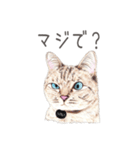 Nala and White Coffee Cat (Japanese)（個別スタンプ：31）