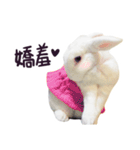 Bosstwo-CUTE Rabbit（個別スタンプ：14）