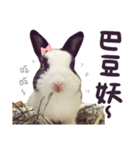 Bosstwo-CUTE Rabbit（個別スタンプ：20）