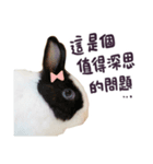 Bosstwo-CUTE Rabbit（個別スタンプ：24）