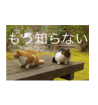 公園猫【日常会話編】（個別スタンプ：24）