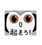 アフリカオオコノハズクの日常（個別スタンプ：40）