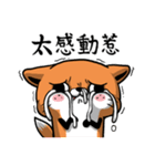 Misty eyed fox（個別スタンプ：16）