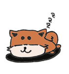 Aichi Dog Maru（個別スタンプ：1）