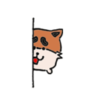 Aichi Dog Maru（個別スタンプ：11）