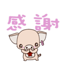 small Baby pig（個別スタンプ：32）