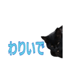 大分弁と黒猫クロちゃん（個別スタンプ：2）