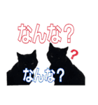 大分弁と黒猫クロちゃん（個別スタンプ：3）