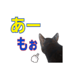 大分弁と黒猫クロちゃん（個別スタンプ：5）