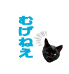 大分弁と黒猫クロちゃん（個別スタンプ：14）