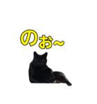 大分弁と黒猫クロちゃん（個別スタンプ：18）