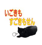 大分弁と黒猫クロちゃん（個別スタンプ：23）