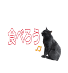 大分弁と黒猫クロちゃん（個別スタンプ：24）