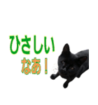 大分弁と黒猫クロちゃん（個別スタンプ：31）