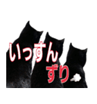 大分弁と黒猫クロちゃん（個別スタンプ：33）
