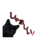 大分弁と黒猫クロちゃん（個別スタンプ：35）