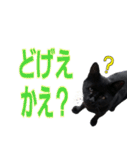 大分弁と黒猫クロちゃん（個別スタンプ：40）