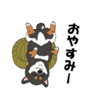 日本の黒柴犬。（個別スタンプ：2）