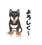 日本の黒柴犬。（個別スタンプ：4）