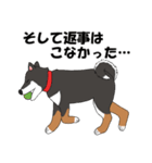 日本の黒柴犬。（個別スタンプ：6）