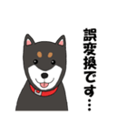 日本の黒柴犬。（個別スタンプ：10）