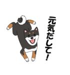 日本の黒柴犬。（個別スタンプ：16）
