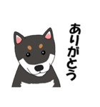 日本の黒柴犬。（個別スタンプ：21）