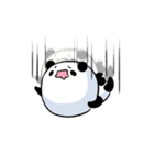 The panda's day（個別スタンプ：10）