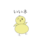 chicks birds flap（個別スタンプ：3）