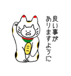 すごい着ぐるみねこ（個別スタンプ：16）