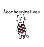 白猫みぃちゃんのスラングレッスン♪（個別スタンプ：37）