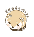 Ferrets with you（個別スタンプ：2）