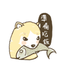 Ferrets with you（個別スタンプ：10）