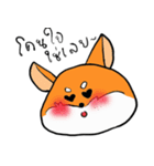 Shiba inu : light or dark（個別スタンプ：8）