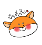 Shiba inu : light or dark（個別スタンプ：12）