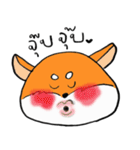 Shiba inu : light or dark（個別スタンプ：13）