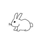 Not loose Rabbit（個別スタンプ：1）