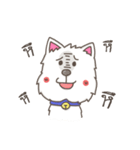 Tao-Hu (Westie Dog)（個別スタンプ：12）