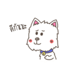 Tao-Hu (Westie Dog)（個別スタンプ：20）